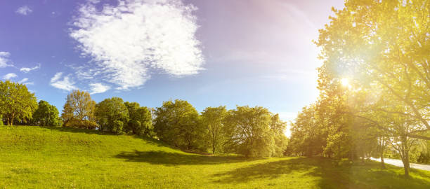 istock Building land for new construction project on green meadow, plot for construction area 1155972627