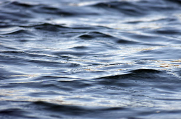 istock Waves of water on a lake. 1155979886