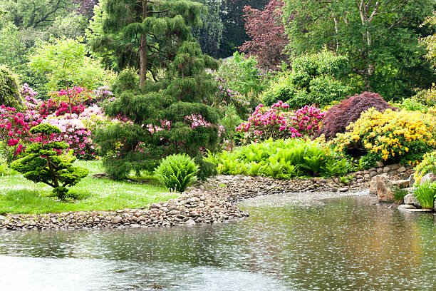 istock Japanese garden in the rain 115598192