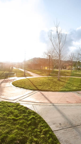 istock Vertical Vast park with pathways and trees on the grassy ground under the blazing sun 1155982710