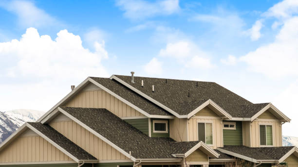 Panorama frame House exterior with view of the dark pitched roof against a cloudy blue sky Panorama frame House exterior with view of the dark pitched roof against a cloudy blue sky. A mountain blanketed with snow can be seen behind the home. baseball pitcher stock pictures, royalty-free photos & images