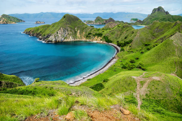 Palau Padar with ohm shaped beach in Komodo National Park, Flores, Indonesia Palau Padar with ohm shaped beach with green hills in Komodo National Park, Flores, Indonesia pulau komodo stock pictures, royalty-free photos & images