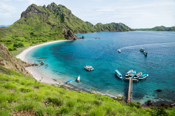 Palau Padar bay in Komodo National Park, Flores, Indonesia Palau Padar bay with green hills in Komodo National Park, Flores, Indonesia pulau komodo stock pictures, royalty-free photos & images