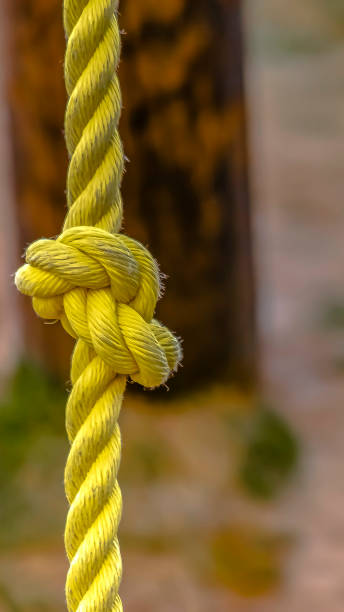 istock Vertical frame Close up view of a knotted yellow rope with dirt on the surface 1155985665