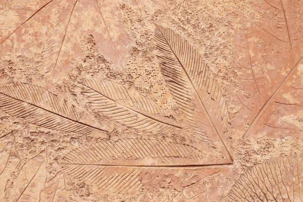 istock marks of leaf on the concrete background 1156006050