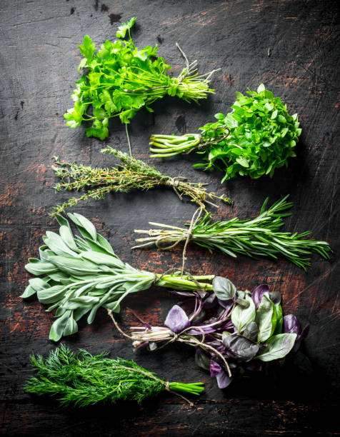 istock Bunches of fresh herbs for the salad. 1156007328