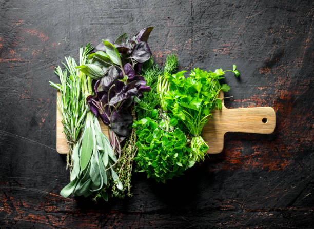 istock Assortment of different types of herbs for salad. 1156007860