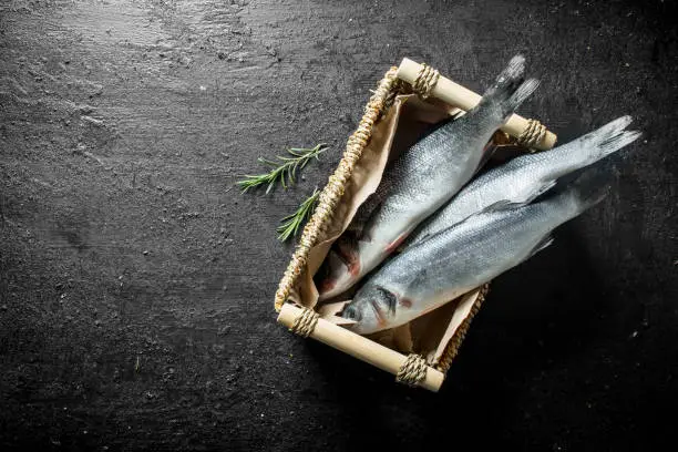 Photo of Raw seabass fish in the basket.