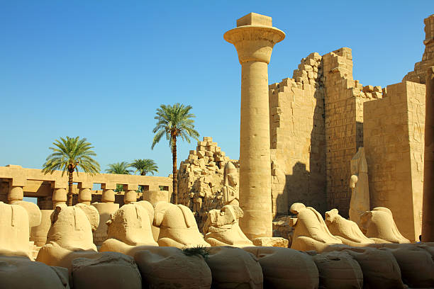 colonna e statue di sfinge nel tempio di karnak - tomb sarcophagus pharaoh temple of luxor foto e immagini stock