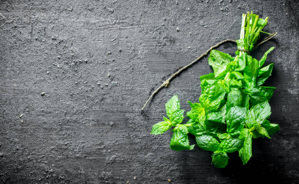 istock Bunch of fresh fragrant mint. 1156013107