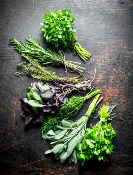 istock Variety of fresh green herbs. 1156016717