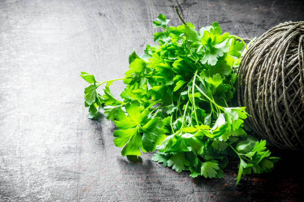 istock Fresh parsley with old twine. 1156016784