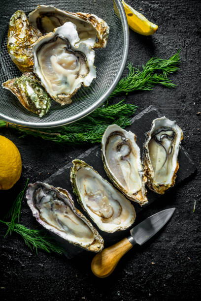 istock Fresh raw oysters on a stone Board and in a colander with lemon and dill. 1156023340