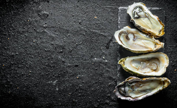 istock Opened fresh oysters on a stone stand. 1156023995