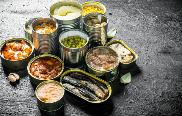 istock Canned food in various open cans. 1156024067