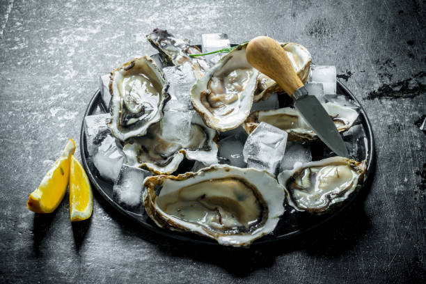 istock Fresh raw oysters on a plate with ice, knife and lemon slices. 1156024318