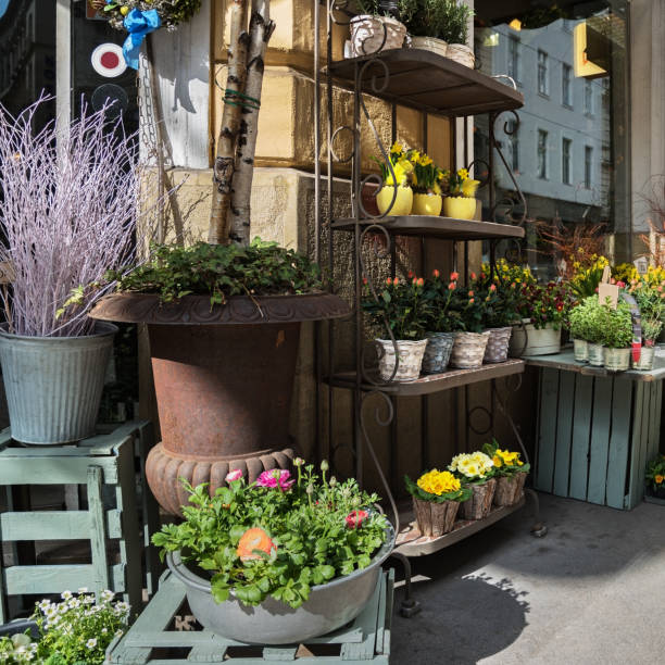 istock Plants and flowers shop. 1156026296