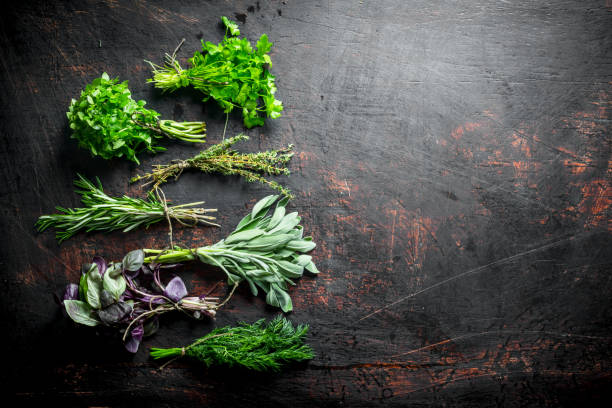 istock Bunches of fresh herbs for the salad. 1156027163