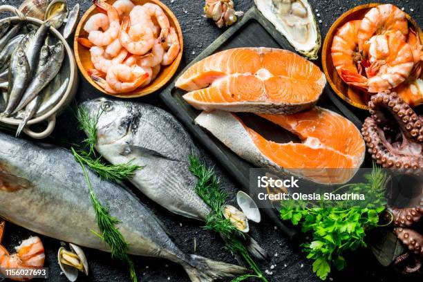 Fresh Salmon Steak With A Variety Of Seafood And Herbs Stock Photo - Download Image Now