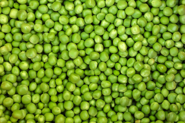 istock Homegrown Organic Green Peas Grains 1156029342
