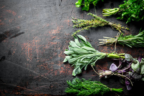 istock Bunches of fresh herbs for the salad. 1156030535
