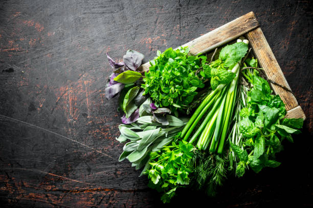 istock Range of different kinds of herbs on a tray. 1156030768