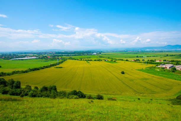istock Traces in the wheat field 1156030896