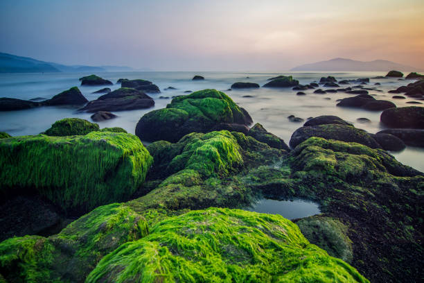 Nam O beach is one of the most favorite destination of Da Nang city.