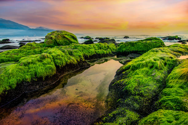 Nam O beach is one of the most favorite destination of Da Nang city.
