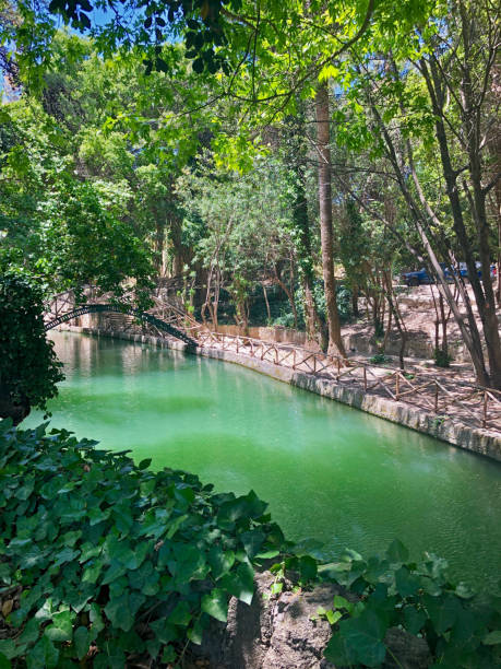 istock Rodini Park - historic park in Rodos 1156034271