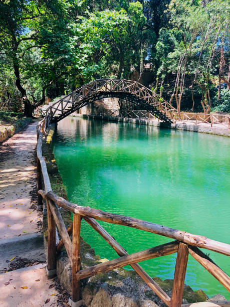 istock Rodini Park - historic park in Rodos 1156034280