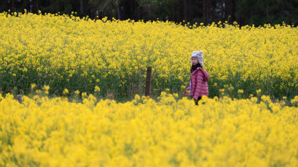 istock A girl in canola field 1156038137