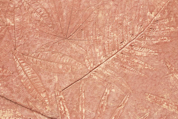 istock marks of leaf on the concrete background 1156040870
