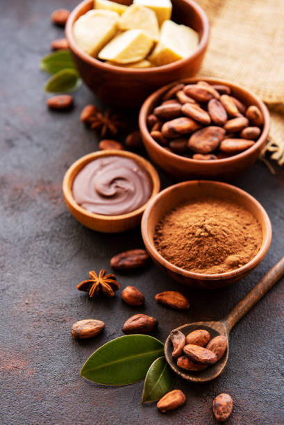 istock Cocoa beans, powder and cocoa butter 1156041702