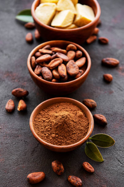 istock Cocoa beans, powder and cocoa butter 1156041705
