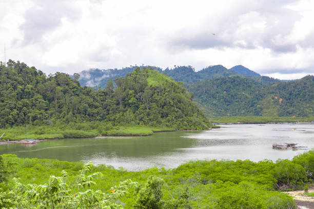 istock Area mandeh (mandeh hill) in Painan, West Sumatra 1156041930