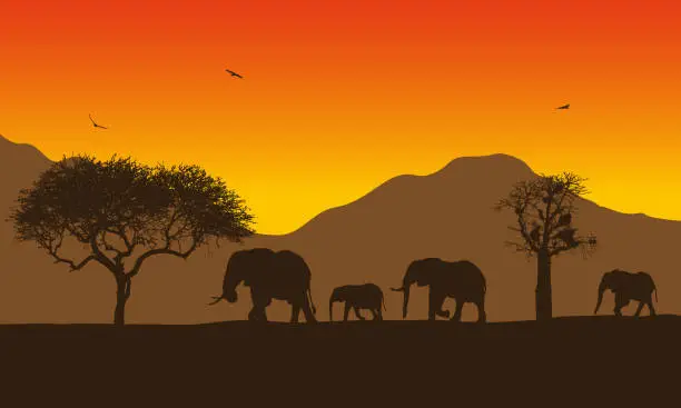 Vector illustration of Realistic illustration of African landscape with safari, trees and family of elephants under orange sky with rising sun. Mountains with flying birds in background - vector