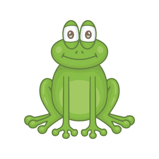 ilustrações de stock, clip art, desenhos animados e ícones de frog - 3675