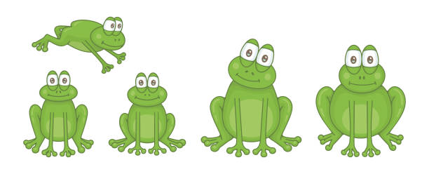 ilustrações de stock, clip art, desenhos animados e ícones de set of frogs - white background close up frog amphibian