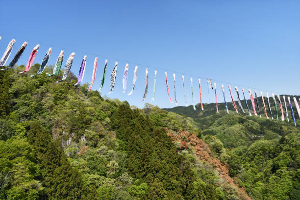 istock Many Carp streamers in the valley 1156052805