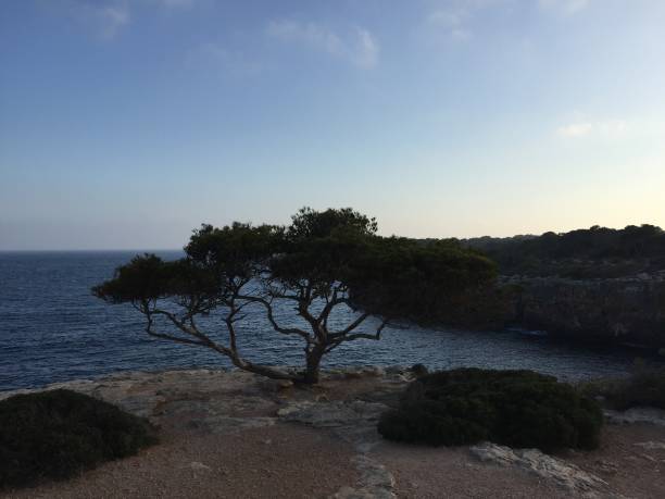 istock Sunset at cape Calla Pi, Mallorca 1156054724