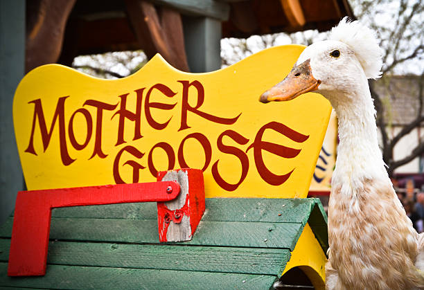 mutter goose - nursery rhyme stock-fotos und bilder