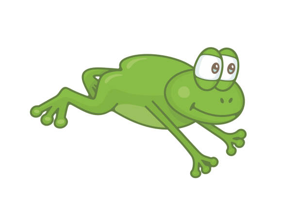 ilustrações de stock, clip art, desenhos animados e ícones de frog - white background close up frog amphibian