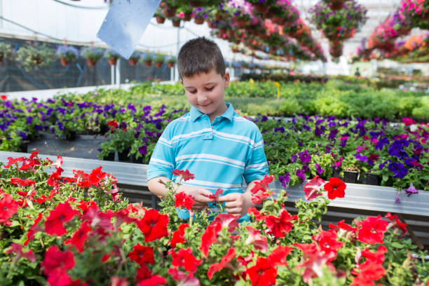 istock Boy in a botanical center, learning about flowers 1156063216