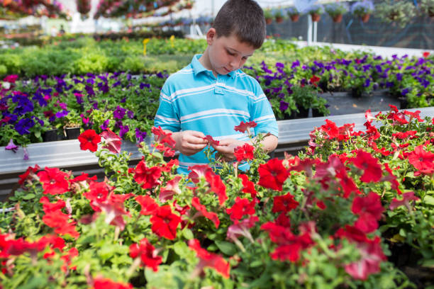 Boy in a botanical center, learning about flowers