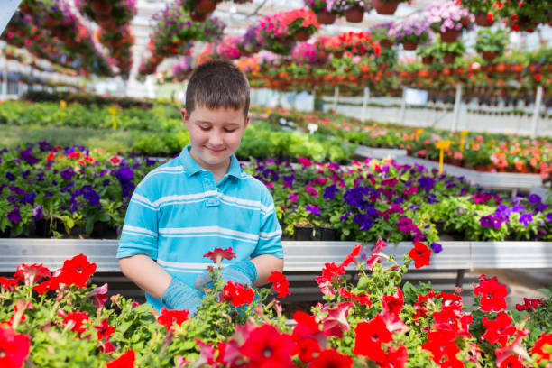 istock Boy in a botanical center, learning about flowers 1156063583