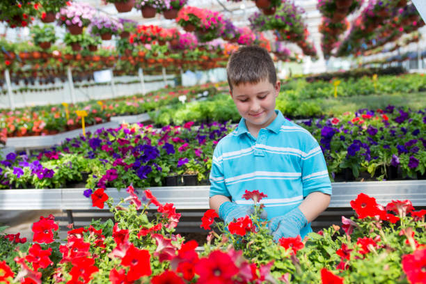 istock Boy in a botanical center, learning about flowers 1156063683