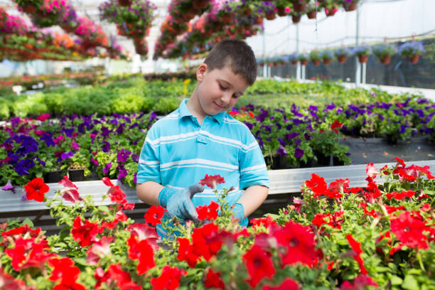 istock Boy in a botanical center, learning about flowers 1156063724
