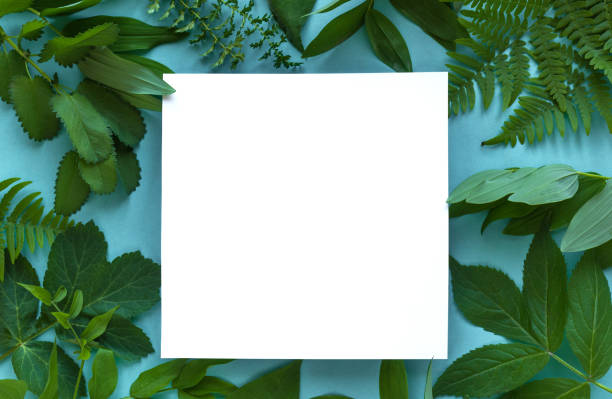 istock Green Leaves Background 1156064960