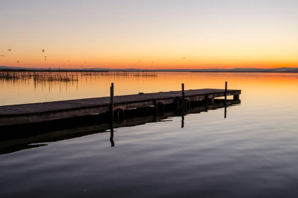 istock Albufera Natural Park in Valencia (Spain) 1156065023
